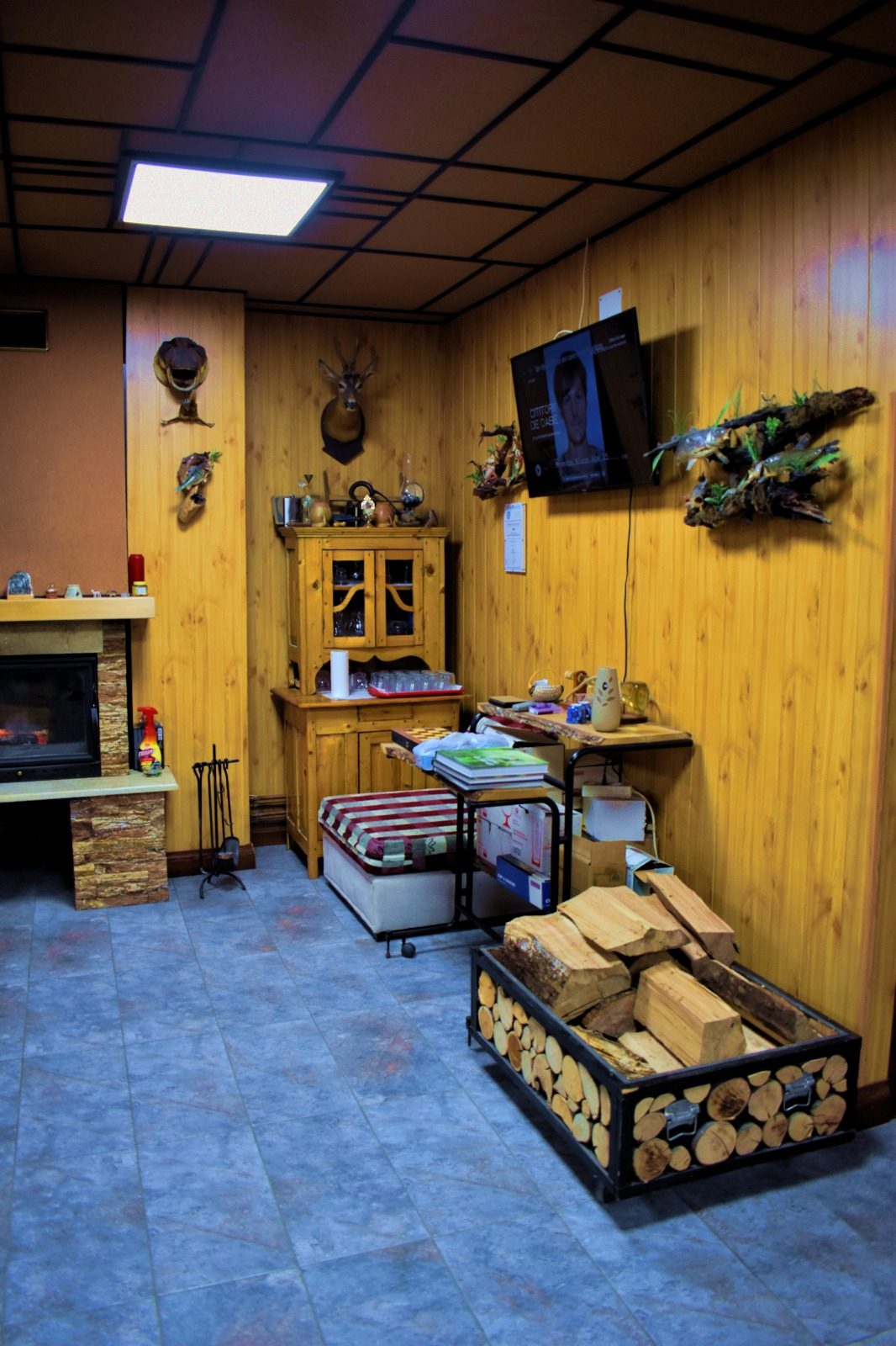 Casa Vânătorului Buzăiel — cazare în RO